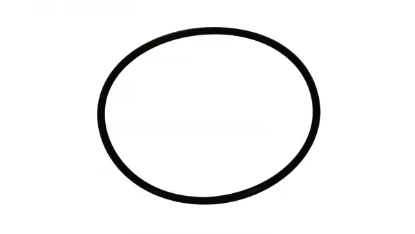 Multiplex O-Ring 50mm UV stable (for 54mm Spinner) &mdash; image 2 of 2