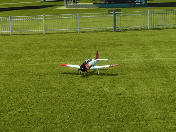 RealFlight Evolution RC Flight Simulator with InterLink DX C