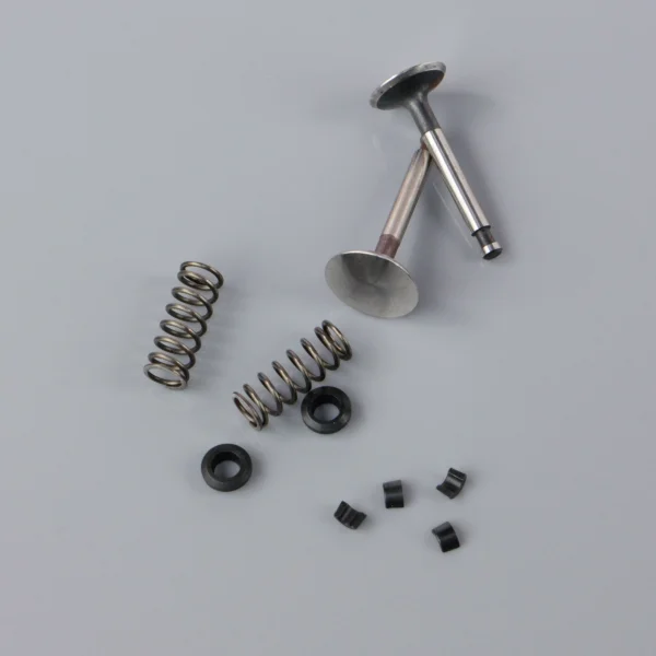 SC Valve set (for SC180FS)