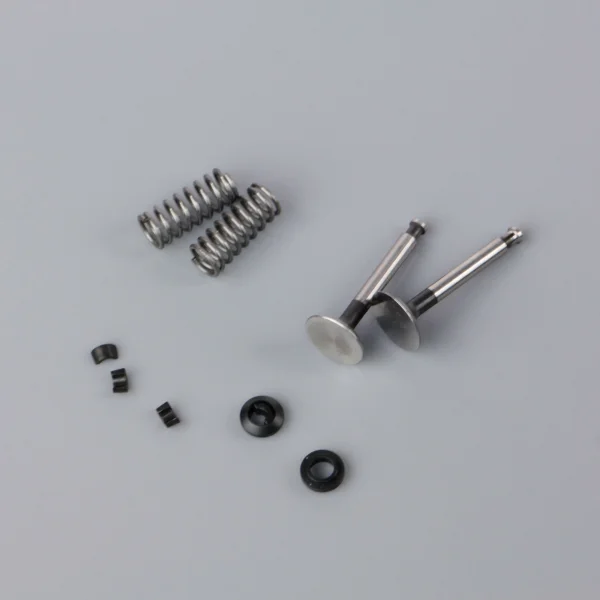 SC Valve set (for SC70FS, SC91FS, SC400FS)