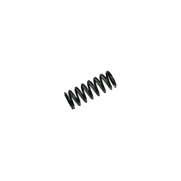 Rear Shock Spring