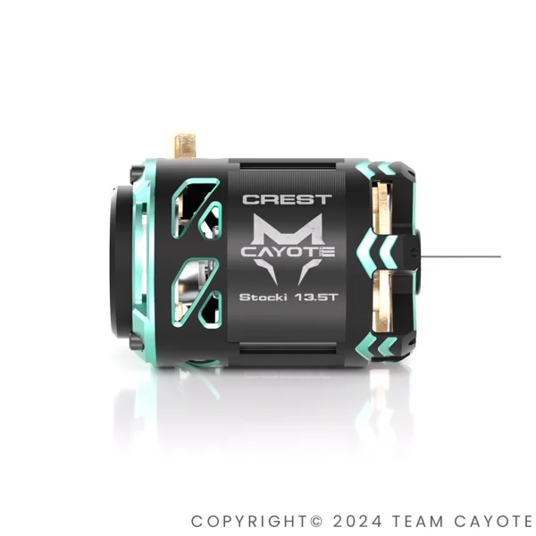 CAYOTE CREST 1:10 Stock Motor 21.5T