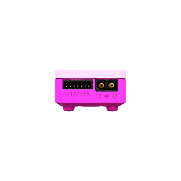 SKY RC B6neo+ DC Smart Charger - Pink