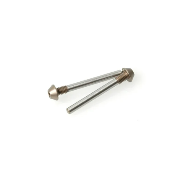 Pivot Pin; Screw Type 25mm (2)