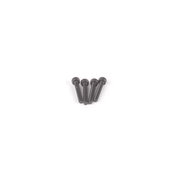 Speed Pack M2x12 Cap Head Screws (4)
