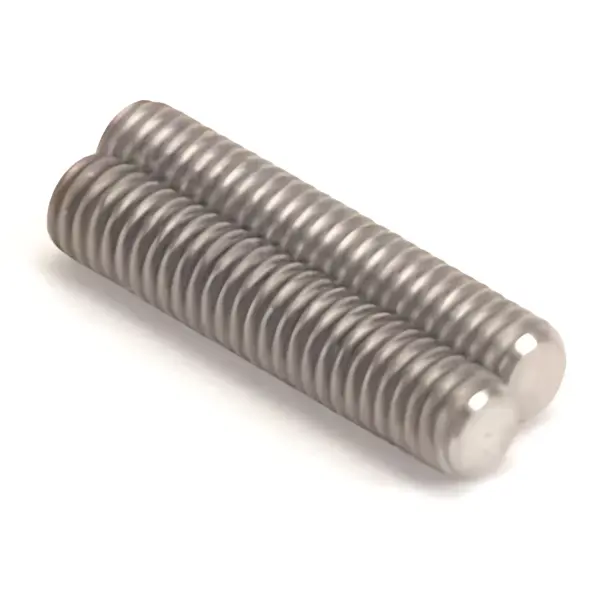 Titanium M4 x 20 Grub Screw (2)