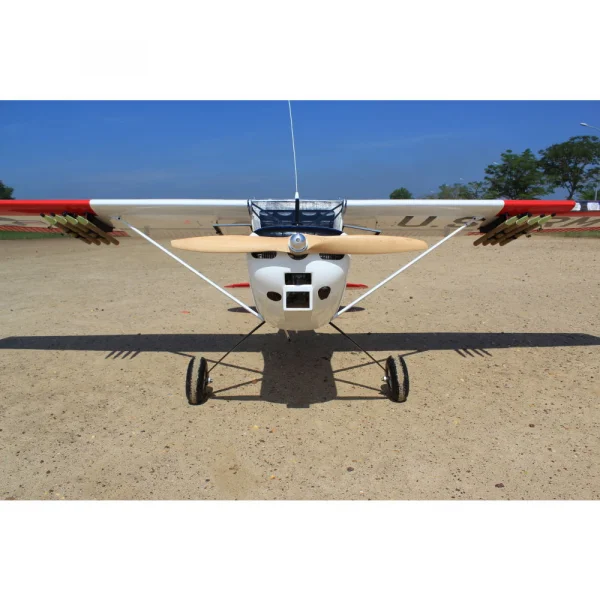Seagull L-19A Bird Dog (Dead Eye) (60-80cc) 3.09m (122.0in)