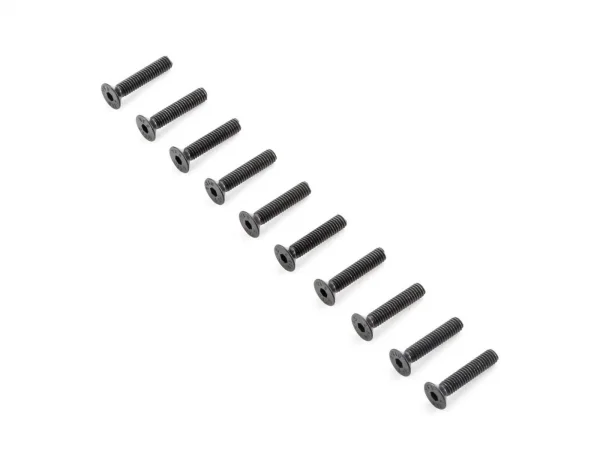 Flat Head Screws M4x20mm (10)
