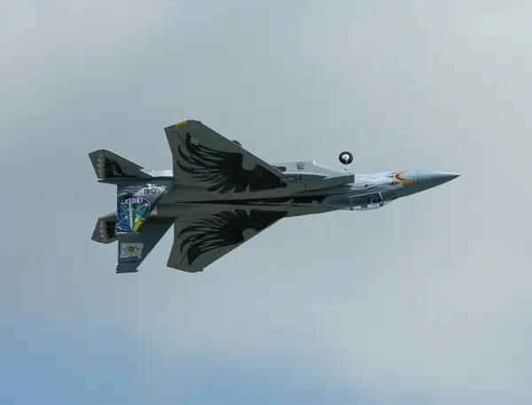 XFly F-15 Twin 40mm EDF 710mm Jet - ARTF - Grey &mdash; image 7 of 20