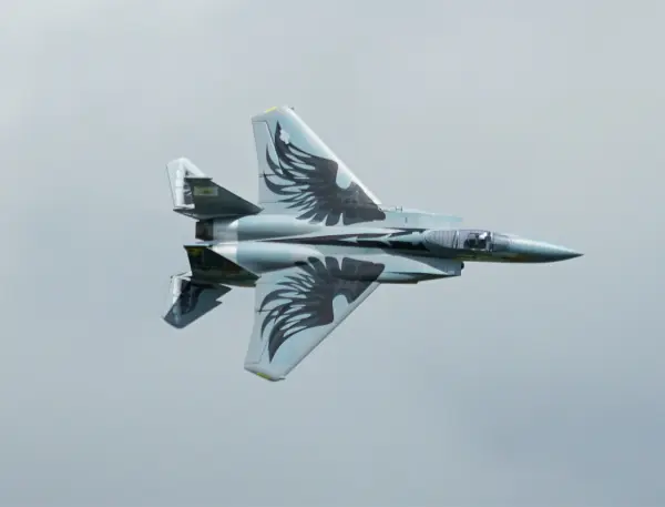 XFly F-15 Twin 40mm EDF 710mm Jet - ARTF - Grey &mdash; image 9 of 20