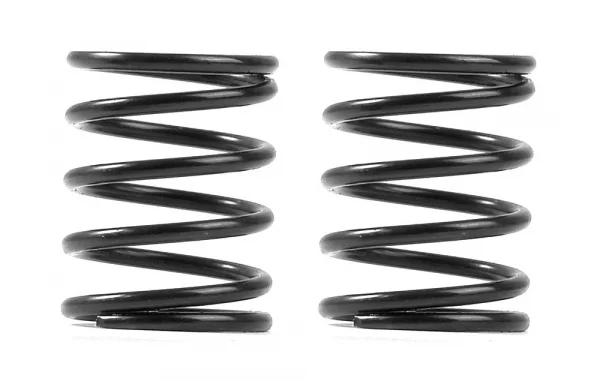 XRay 3S Spring Set C=4.5 (2)