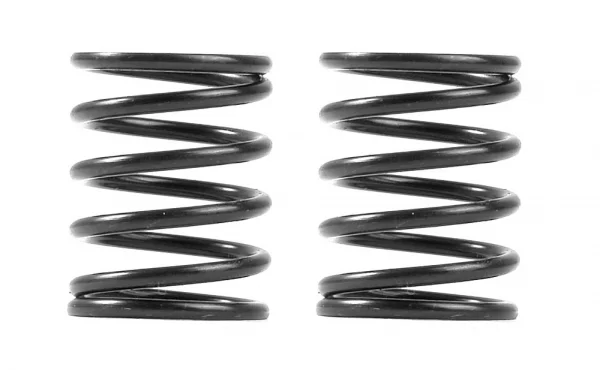 XRay 3S Spring Set C=5.5 (2) ** CLEARANCE **