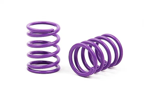 XRay Spring Set D=1.7 (30.5 LB) Violet - Medium - Front (2)