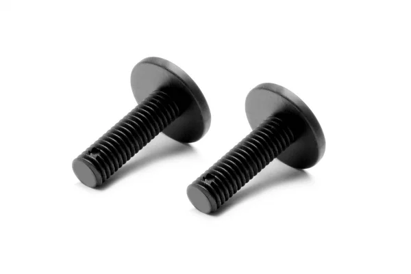 XRay Composite Rear Body Holder Screw - Medium (2)