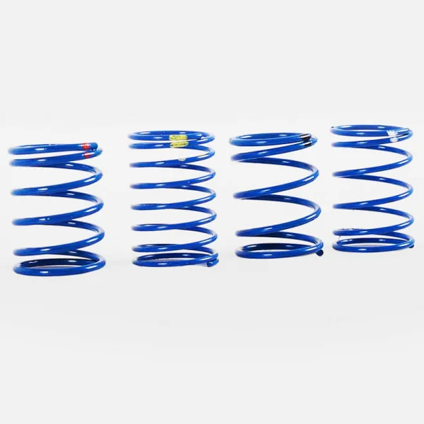 RC4WD 70mm King Scale Shock Spring Assortment