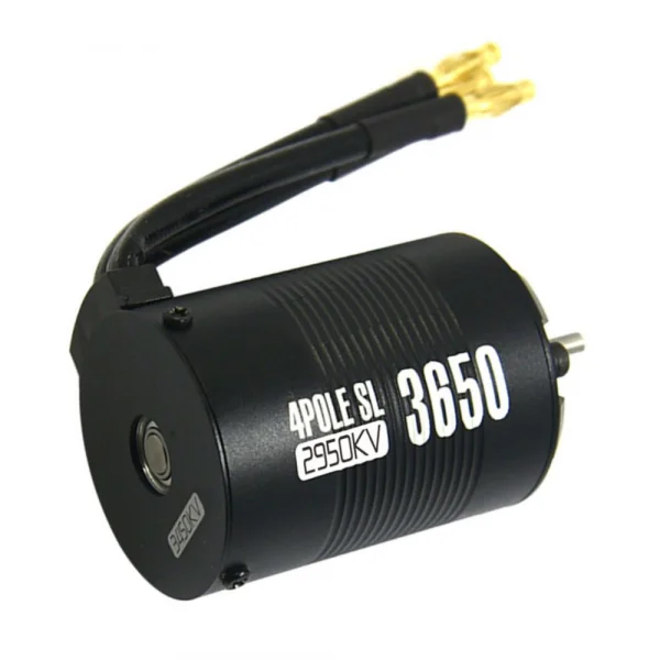 ZTW 1:10 Beast SLL Combo with 45A ESC + 4P SL 3650B 2950Kv Motor