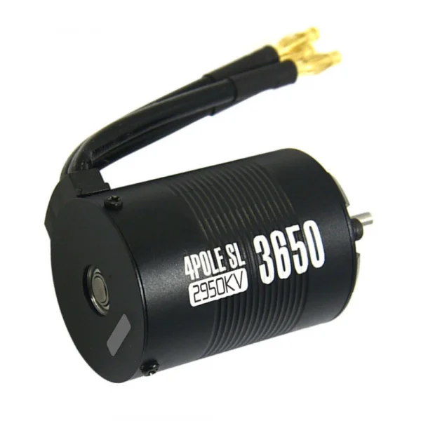 ZTW 1:10 Beast Sll 60A Combo + 4P Sl 3650B 2950Kv Motor
