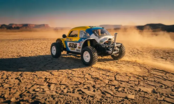 DUNE BEETLE CROSS