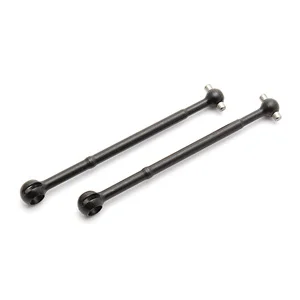 Associated CVA Bone B5/B5M
