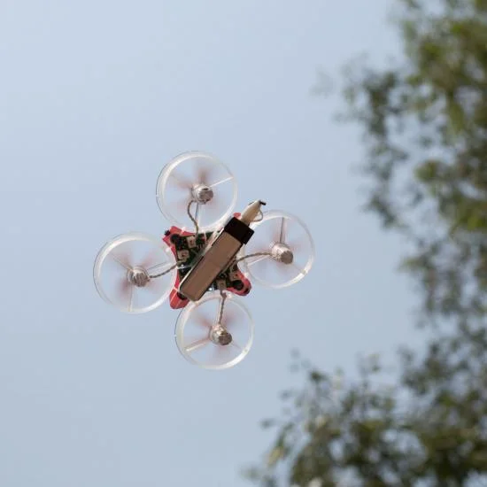 Blade Inductrix - RTF &mdash; image 8 of 16