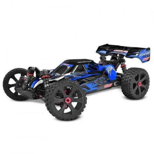 Corally Asuga XLR 6S &mdash; image 14 of 15