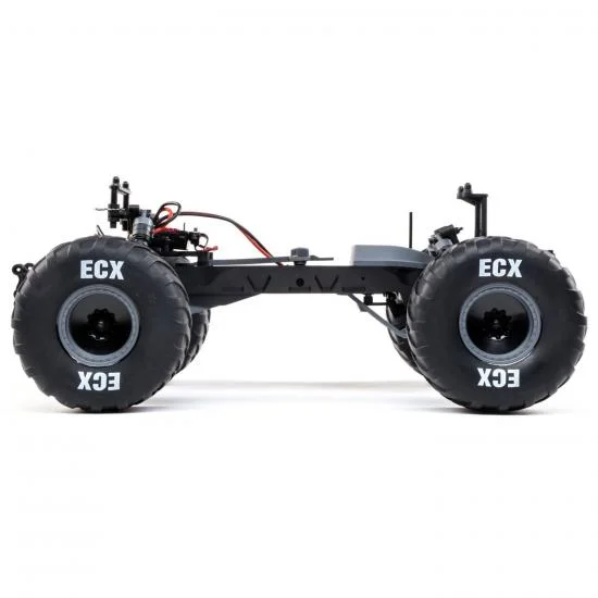 ECX Brutus 2WD Monster Truck - RTR — image 4 of 14