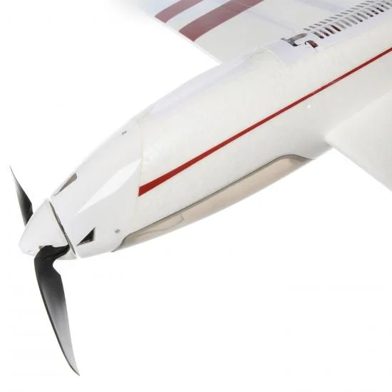 E Flite Night Radian FT - PNP &mdash; image 4 of 15