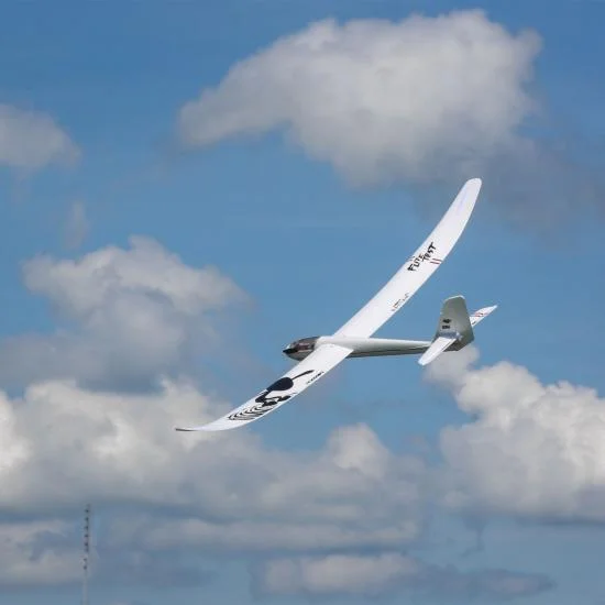 E Flite Night Radian FT - PNP &mdash; image 2 of 15