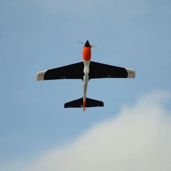 E Flite V900 - BNF Basic — image 3 of 15