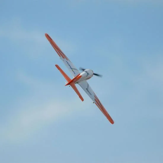 E Flite V900 - BNF Basic — image 15 of 15