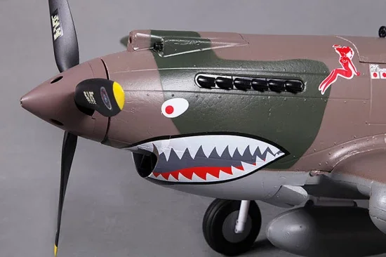 FMS 980mm P-40B Flying Tiger - PNP — image 12 of 12