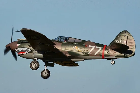 FMS 980mm P-40B Flying Tiger - PNP — image 10 of 12