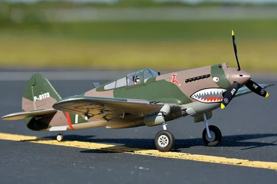 FMS 980mm P-40B Flying Tiger - PNP — image 7 of 12