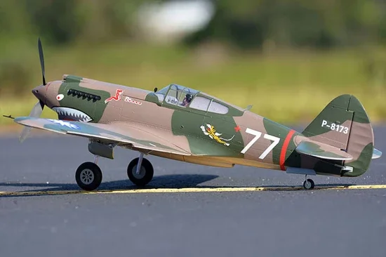 FMS 980mm P-40B Flying Tiger - PNP — image 6 of 12