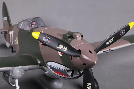 FMS 980mm P-40B Flying Tiger - PNP — image 3 of 12