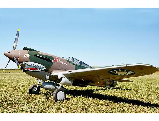 FMS 1400mm P-40B Super Scale PNP V2 — image 5 of 12