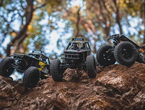FMS FCX24 Lemur - RTR &mdash; image 4 of 14