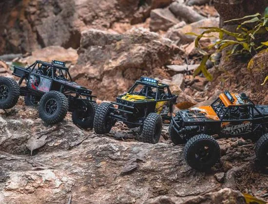 FMS FCX24 Lemur - RTR &mdash; image 3 of 14