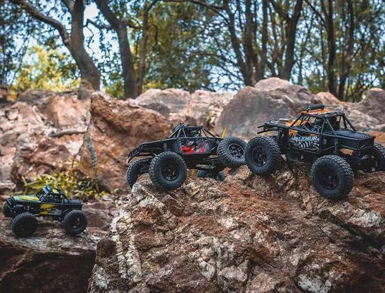 FMS FCX24 Lemur - RTR &mdash; image 5 of 14