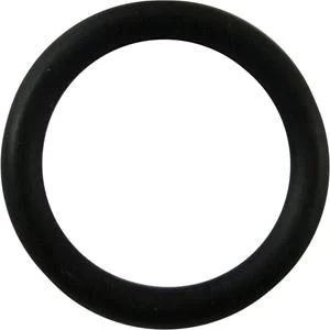 FTX Diff Case Seal O-Ring Pin
