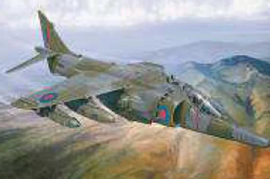 Italeri Harrier Gr.3 Falkland — image 1 of 12