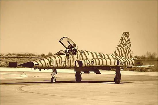 Italeri Northrop F-5E Tiger II — image 1 of 11