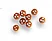 Artesania Dead Eye Boxwood 2.5mm (10U) &mdash; image 2 of 3