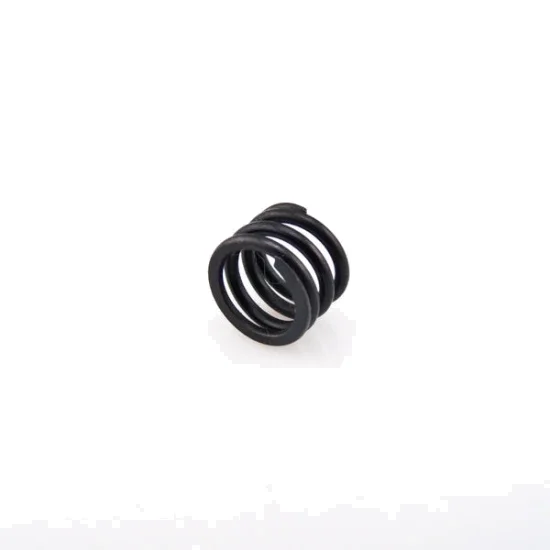 Hobbytech BX8-DB8 Servo saver spring — image 1 of 2