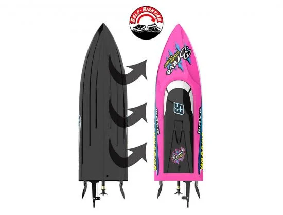 Joysway Warrior V4 RTR — image 11 of 13