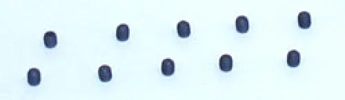 4.40 Hardened Set (Grub) Screws (10) — image 1 of 2