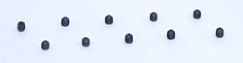 5.40 Hardened Set (Grub) Screws (10) — image 1 of 2