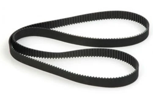 Belt; 245t - Fusion — image 1 of 2