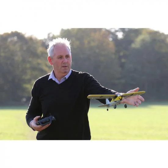 Top RC Mini XCub RTF 450 (Mode 1) &mdash; image 6 of 21