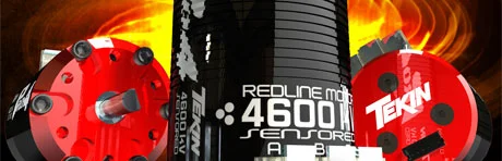 Tekin Pro4 BL Motor 4600kv 5mm